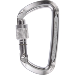 Karabinek Climbing Technology D-SHAPE SG - silver