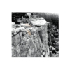 Ochrona liny Climbing Technology SPIROLL 