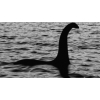 Organizer ISC NESSIE