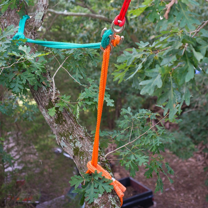 Przyrząd Notch BACKBONE