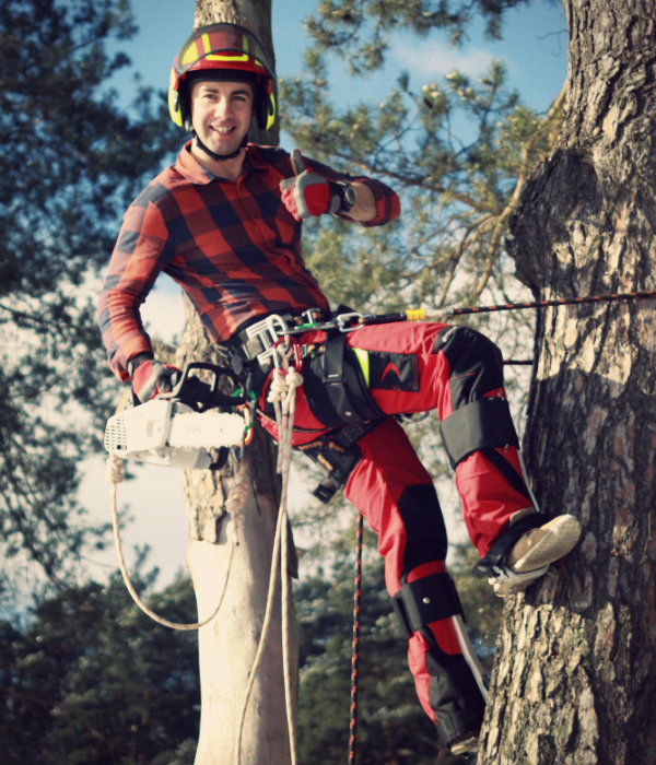 logar wycinka drzew alpinlife wsparcie profesjonalistwo sprzet alpinistyczny